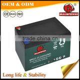 12v 35ah Lead Acid Rechargeable Battery Powered Electric Balance Scooter thumbnail-2