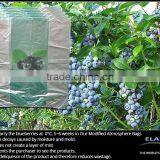 Pears Bag thumbnail-3