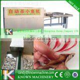 Automatic Small Fish Viscera Removal Machine Small Fish Cutting Machine Fish Processing Equipment thumbnail-3