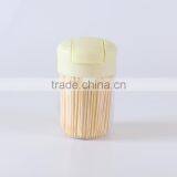 Interdental Brush Toothpick in Box thumbnail-4