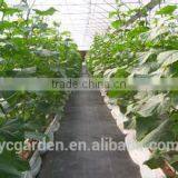 Best Seller Black PP Woven Glass Mulch thumbnail-1