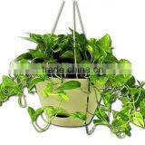Hot Sale Customzied Color Glazed Ceramic Hanging Flower Pots thumbnail-1