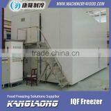 High Quality IQF Frozen Fruit Mango Machine With Good Price thumbnail-4