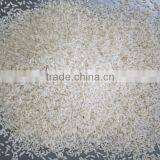 NEW VERSION, 441 CHANNELS COLOR SORTER FOR RICE MILL. thumbnail-6