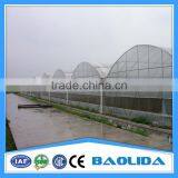 Commercial Greenhouse for Agriculture thumbnail-2