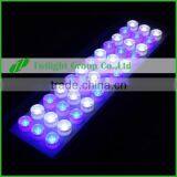 Three Channel Twlight Group New LED Aquarium Light thumbnail-2