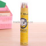 Cardboard Tube Color Pencil Set 12