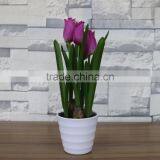 Artificial Colourful Flower Bonsai for Home and Commercial Decoation thumbnail-5