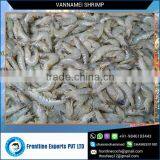 Best Quality Produce Healthy Shrimps From Reliable Supplier thumbnail-1