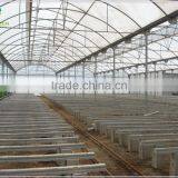 Large Size Agricultural Plastic Film Greenhouse for Planting Vegetable thumbnail-1