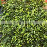 Latest Design Encryption Garden Grass Plastic Fake Grass Milan Lawn Artificial Grass for Garden Decoration thumbnail-1