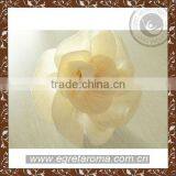 Factory Direct Sale Handmade Natural Sola Wood Flower thumbnail-6