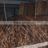 Raw Rattan Cane, Rattan, Cane, Rattan Meterial, Raw Material, Rattah Raw Mateiral, Rattan Cane, Rattan Pole, Pole, Raw thumbnail-3