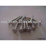 Stainless Steel Roofing Nail With Umbrella Head