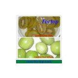 New Fresh Canned Kiwi Fruit in Best Price