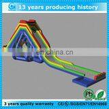 Best Quality Low Price Giant Inflatable Pool Slide for Adult