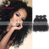 New arrival 100% Malaysian human virgin 9A grade hair weaving in kinky curly raw unprocessed hair