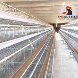 Layer Chicken Cage Equipment for Poultry Farm thumbnail-5