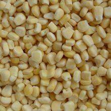 Frozen Sweet Corn thumbnail-4