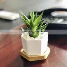 Decorative White Hexagonal Ceramic Succulent Cactus Flower Pot With Wooden Tray Ceramic Flower Planter thumbnail-2