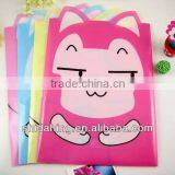 Plastic File Folder