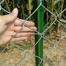 Verzinkter Kettenzaun mit einem Drahtdurchmesser von 2,5 mm und einer Maschengröße von 50 mm thumbnail-4