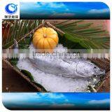 Frozen Fish Skipjack Tuna Price thumbnail-1