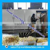 Hidroponicos Corn Growing Machine for Sale/hydroponics Fodder Hydroponic Culturing Barley Breeding Machine thumbnail-6