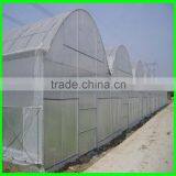 Polythene Anti Insect Netting Export Thailand thumbnail-4