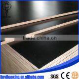 Film Faced Plywood for Formwork in Linyi thumbnail-2
