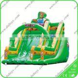 Beach Blow up Amusement Water Slide