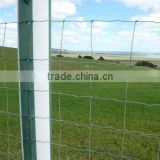 grassland field fence /hinge joint field fence