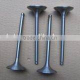 Changzhou Diesel Parts S195 Engine Valves