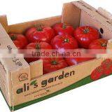 Fresh Tomato thumbnail-5