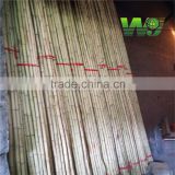 wy-z036 bamboo cane stick for supporting