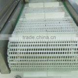 Dumpling Quick Freezing Equipment