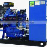 Clean Energy!!20kw Gas Generator Set