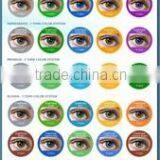 Guangzhou Winis Import & Export Co., Ltd. company overview - view 3 thumbnail