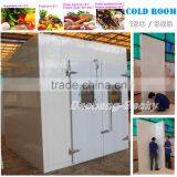 Cold Room and Freezer Room Model DCWR(F)-30 for Vegetable and Meat