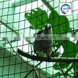 Pvc Coated / Birds Cage Welded Wire Mesh In Rolls