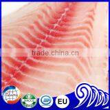 Frozen Fish Tilapia Fillet Sea Food thumbnail-2