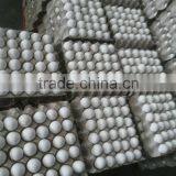 White Shell Egg Bulk Exporter thumbnail-4