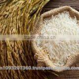 Indian Basmati Sella Rice , Indian Long Grain Parboiled Rice , Indian 5% Broken Long Grain Parboiled Rice Seller in Asia thumbnail-1