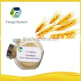 100% Water Soluble Wheat Oligopeptides Wheat Olygopeptides Protein 90% Peptides