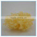 Dried Tremella White Fungus thumbnail-1