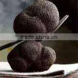 Frozen Truffle thumbnail-2