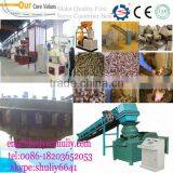 Popular Bamboo Dust, Tea Waste, Wheat Straw Pellet Briquetting Machine