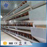 30 Years' Factory Supply Automatic Chicken Broiler Cages thumbnail-6