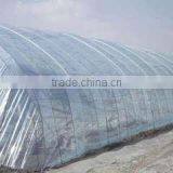 Competive Price Agricultural Plastic Film , Anti-uv Greenhouse Film thumbnail-2