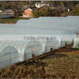 Plastic Film Greenhosue for Agricultural Price thumbnail-1